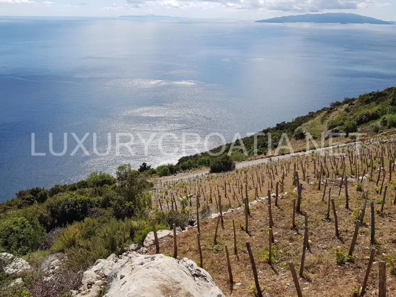Terreno vitivinicolo croato in vendita Dingac Peljesac – 2