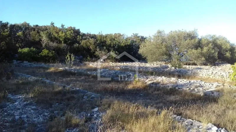 Telek Vela Luka – 3