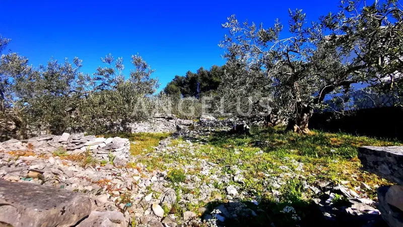 Croatia, island Šolta, Necujam - building plot with sea view, 5100 m2 – 2