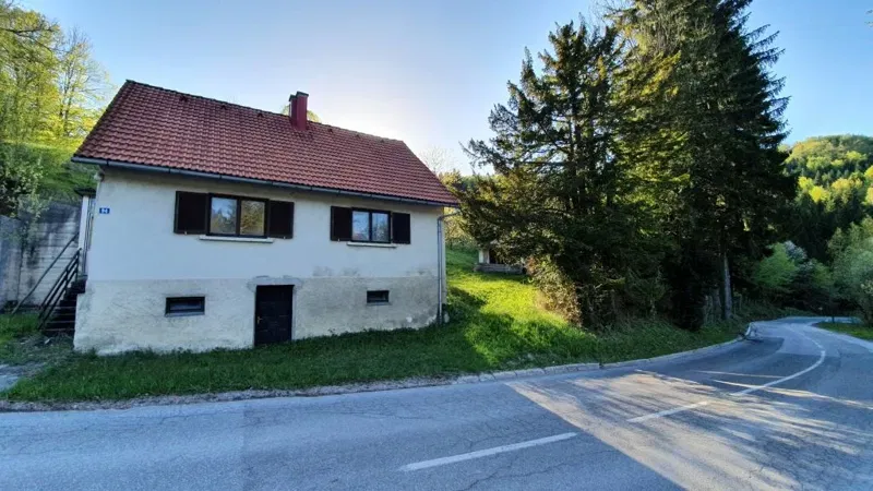 Casa Ravna Gora – 2
