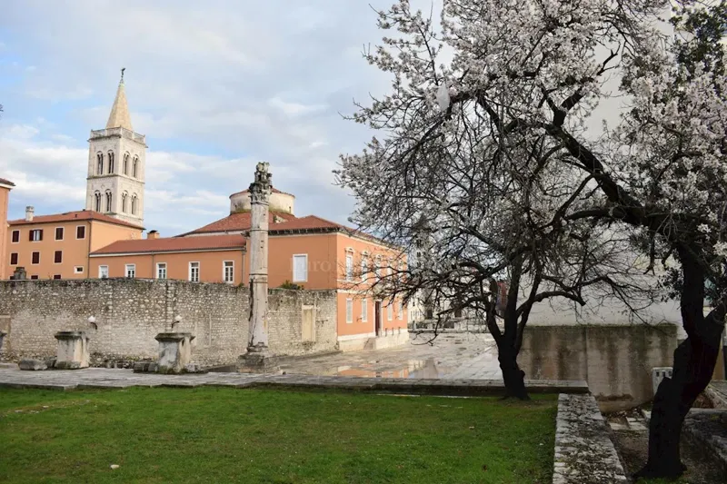 Dom Brodarica – 3