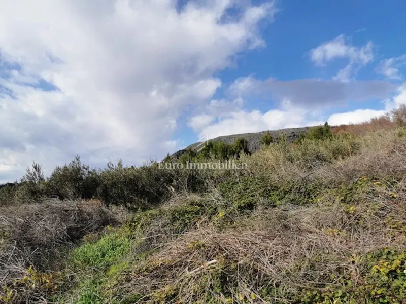 Podstrana near Split, agricultural land with a building permit! – 2