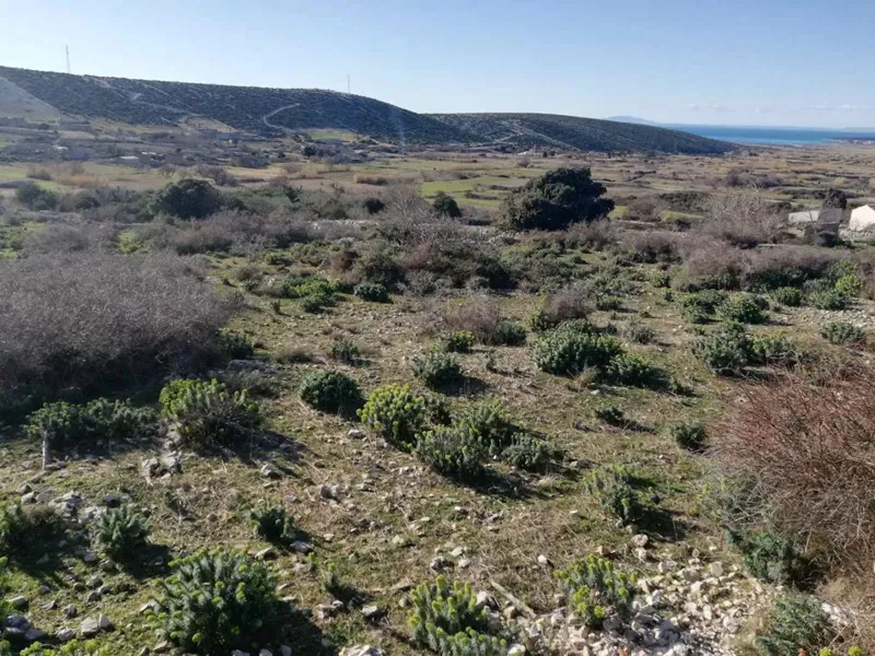 Pag, Kolan, terreno edificabile – 2