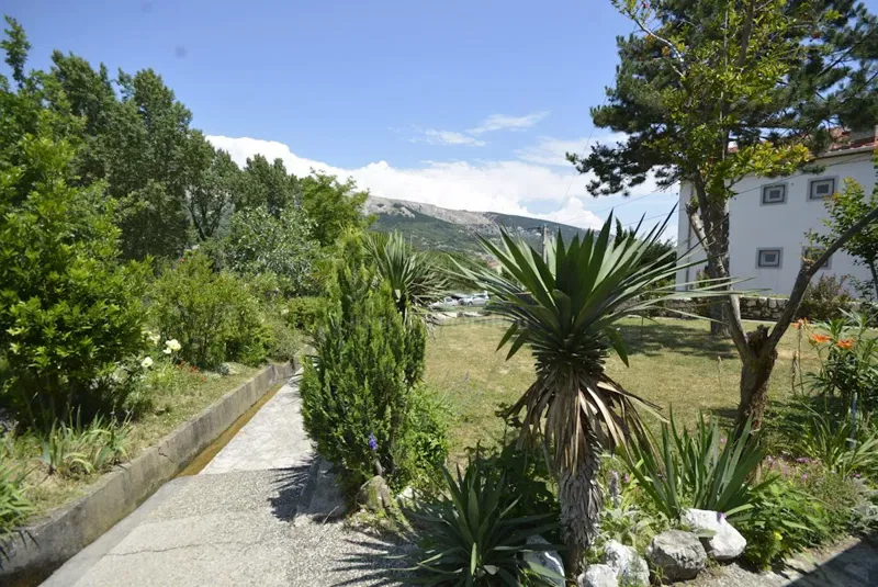 Casa bifamiliare con cinque appartamenti immersi nella natura – 2
