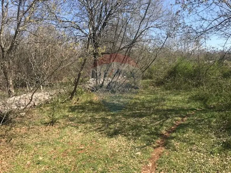 Terreno non edificabile Garica, Vrbnik, 11.898m2 – 2
