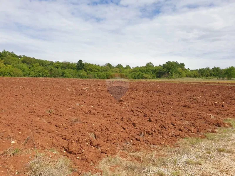 Terreno non edificabile Bačva, Višnjan, 47.489m2 – 3