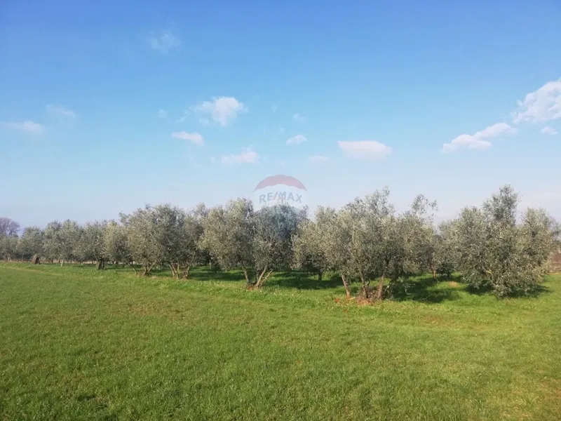 Terreno non edificabile Novigrad, 16,05m2 – 3
