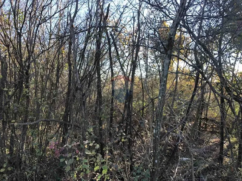 Terreno non edificabile Labinci, Kaštelir-Labinci, 1.252m2 – 2