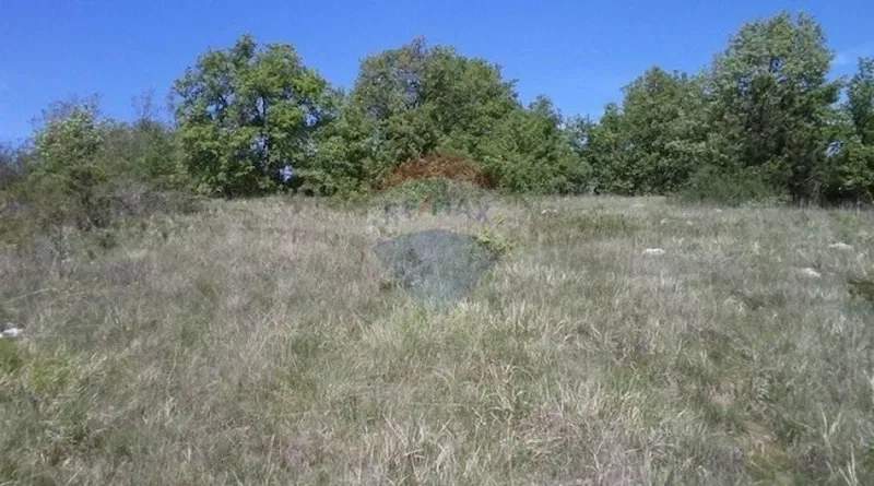 Telek Trviž – 2