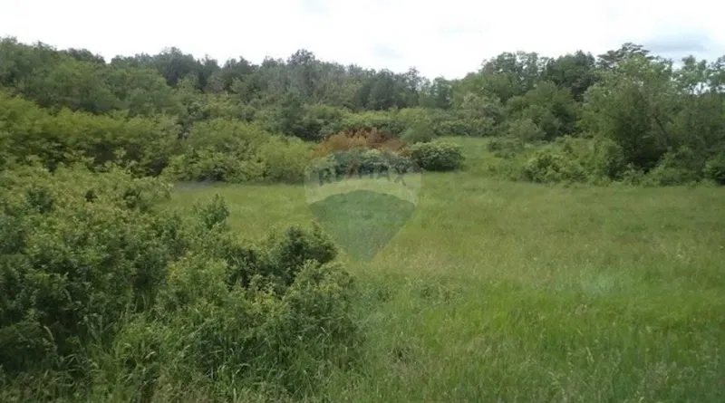 Terreno non edificabile Trviž, Pazin - Okolica, 15.927m2 – 2