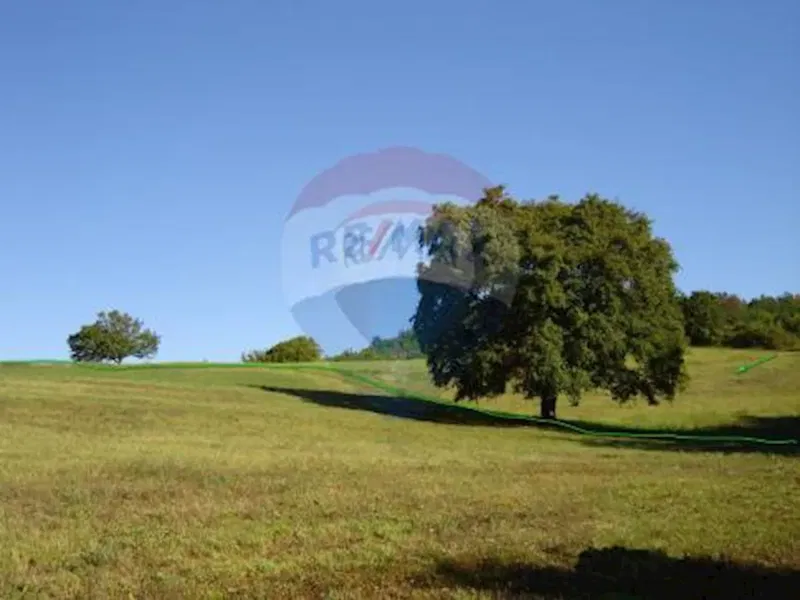 Terreno edificabile Novaki Motovunski, Karojba, 16.637m2 – 2