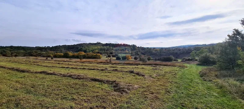 Działka Grožnjan – 3