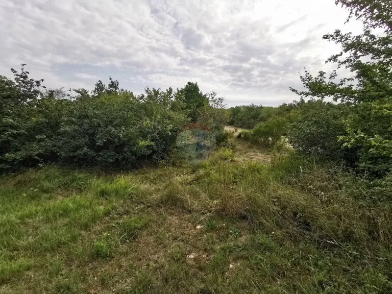 Terreno edificabile Grožnjan, 5.363m2 – 2