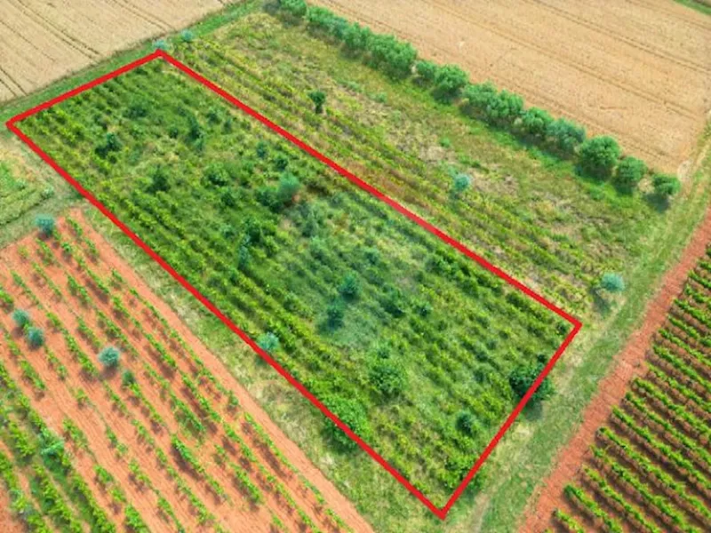 Terreno non edificabile Rovinj, 2.440m2 – 2