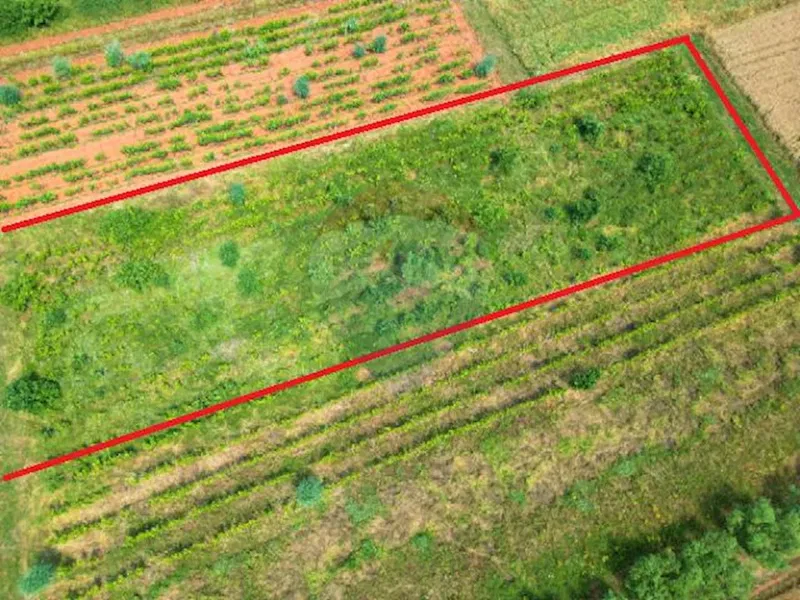 Terreno non edificabile Rovinj, 2.440m2 – 3