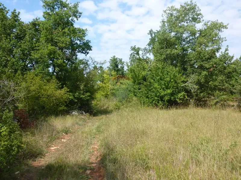 Telek Vržnaveri – 2