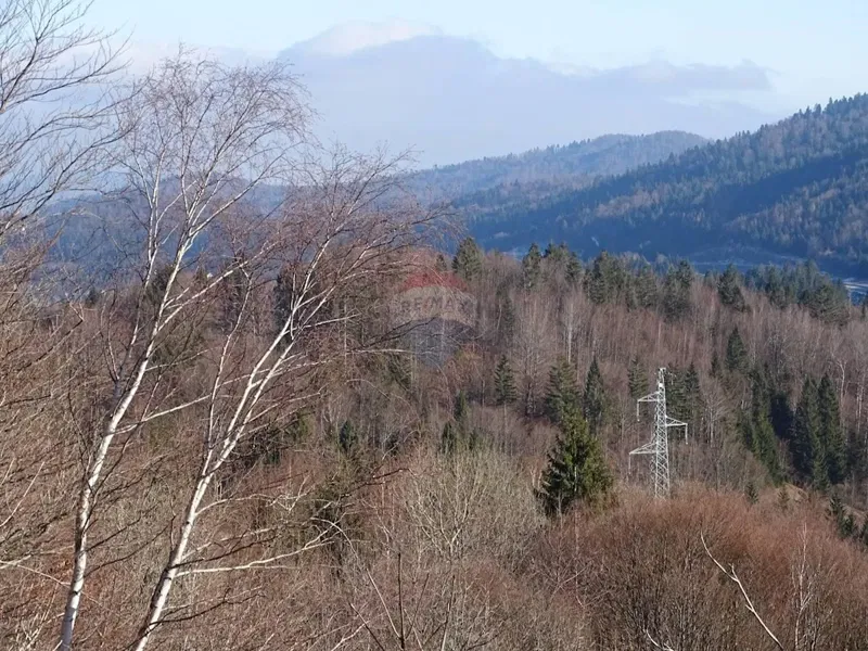 Telek Ravna Gora – 2