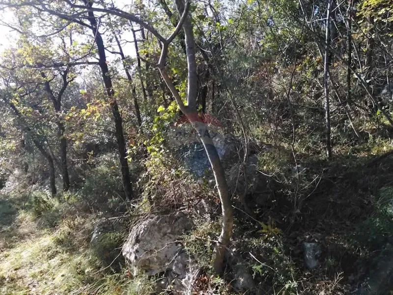 Terreno non edificabile Mošćenička Draga, 6.670m2 – 2