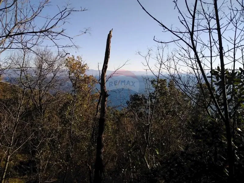 Terreno non edificabile Mošćenička Draga, 6.670m2 – 3