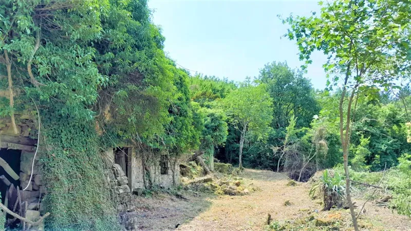 Dom Vižintini Vrhi – 2