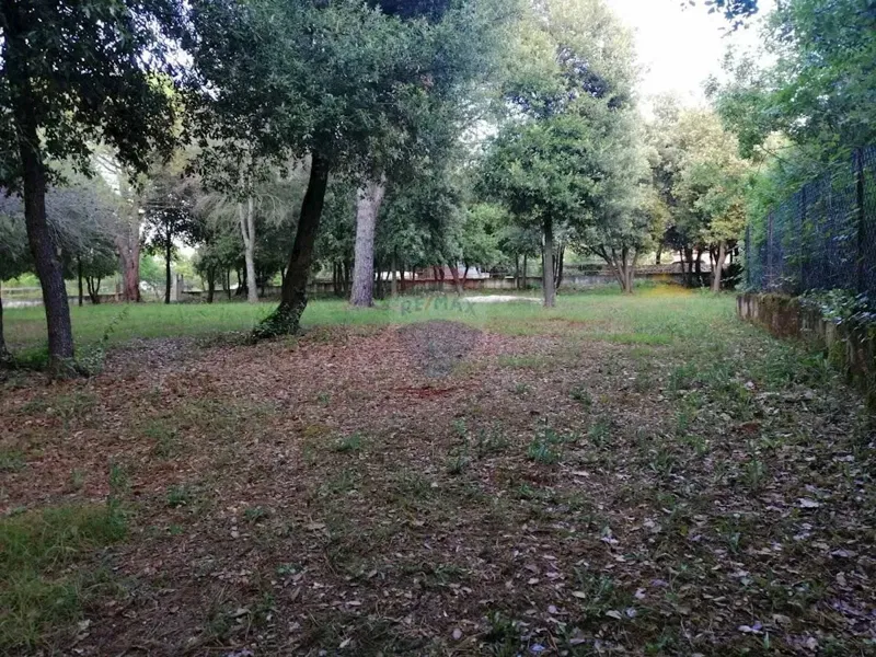 Building plot Rovinj, 12.058m2 – 2