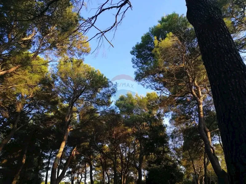 Building plot Rovinj, 12.058m2 – 3