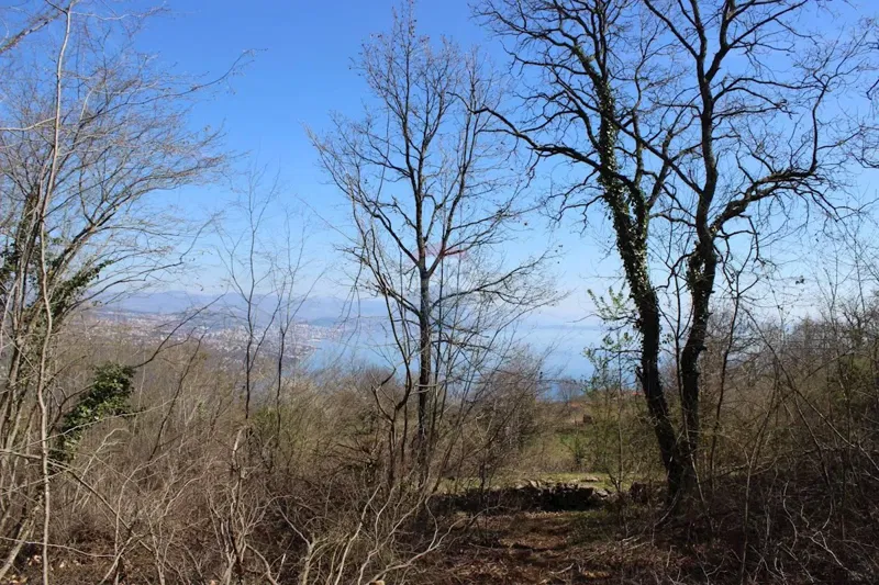 Non-structural plot Bregi, Matulji, 5.562m2 – 2
