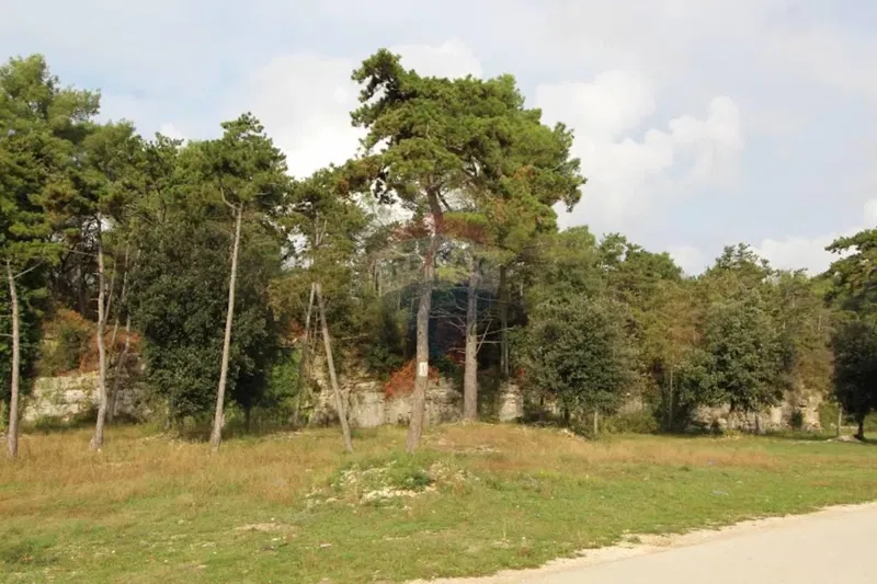 Terreno edificabile Vabriga, Tar-Vabriga, 11.980m2 – 2