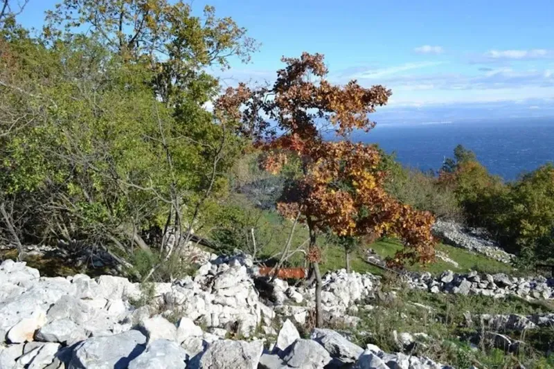 Terreno edificabile Sveta Jelena, Mošćenička Draga, 716m2 – 2