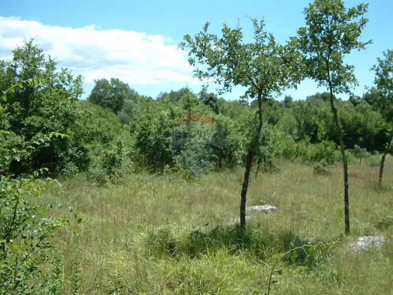 Building plot Kloštar, Sveti Lovreč, 2.206m2 – 2