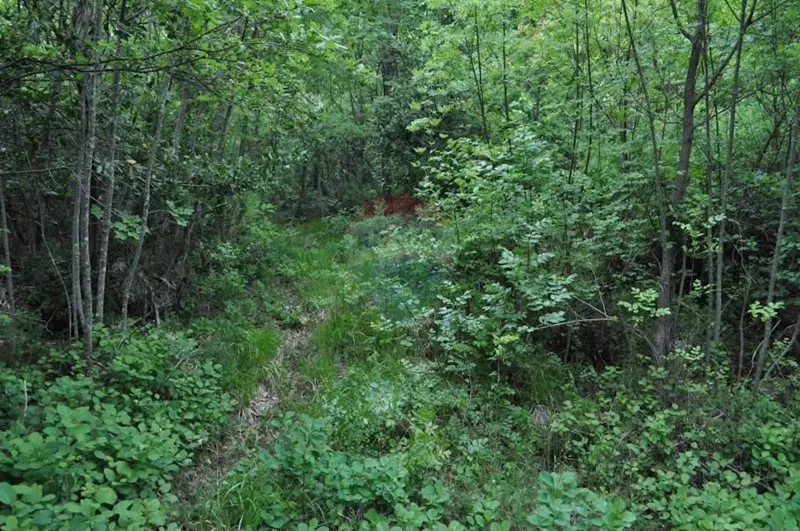 Non-structural plot Brseč, Mošćenička Draga, 1.590m2 – 2
