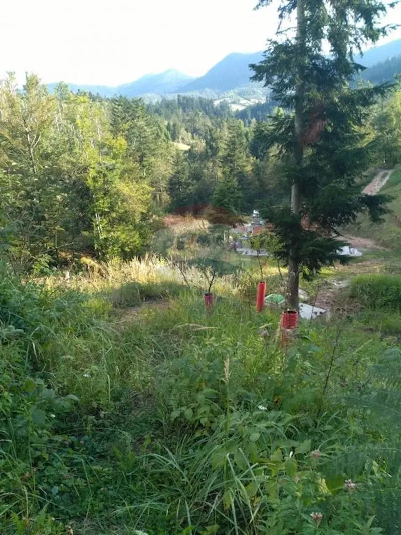 Terreno non edificabile Hajdine, Vrbovsko, 7.740m2 – 2