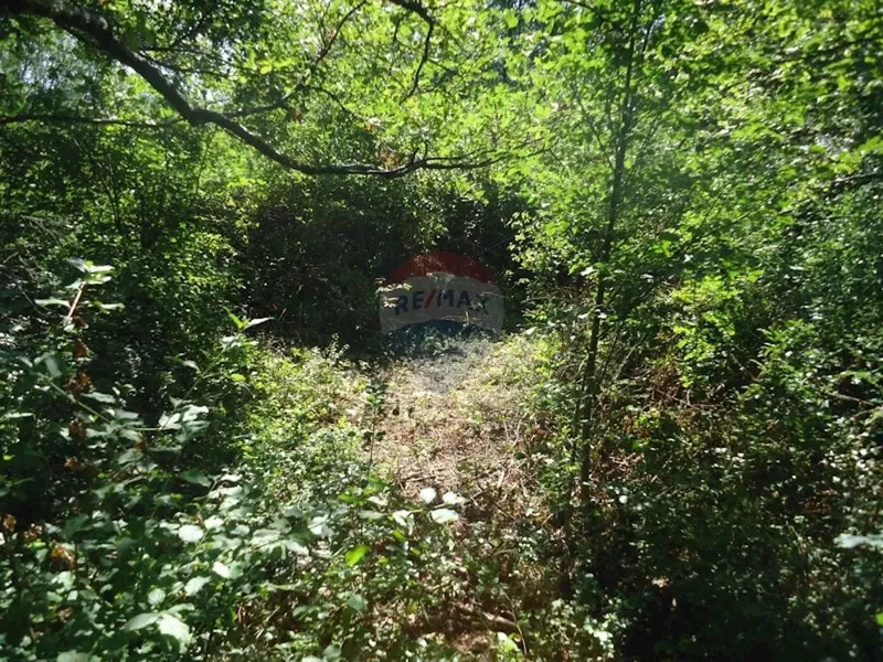 Non-structural plot Veli Brgud, Matulji, 2.837m2 – 3