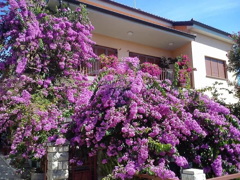 House Lovran, 300m2 – 3