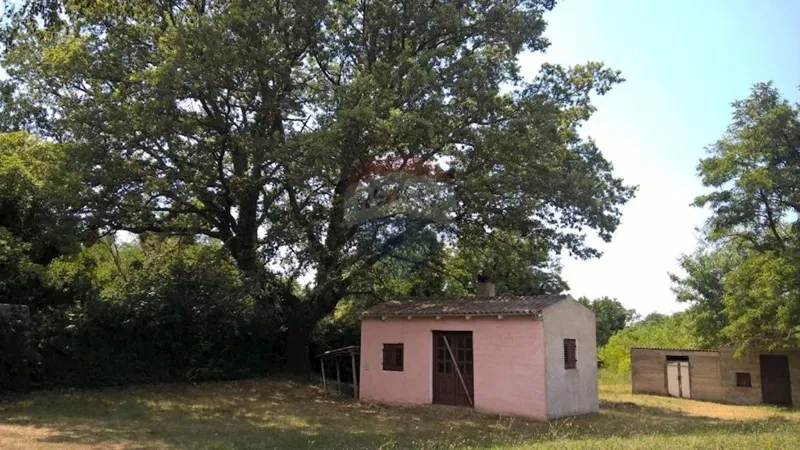 Dom Baderna – 3