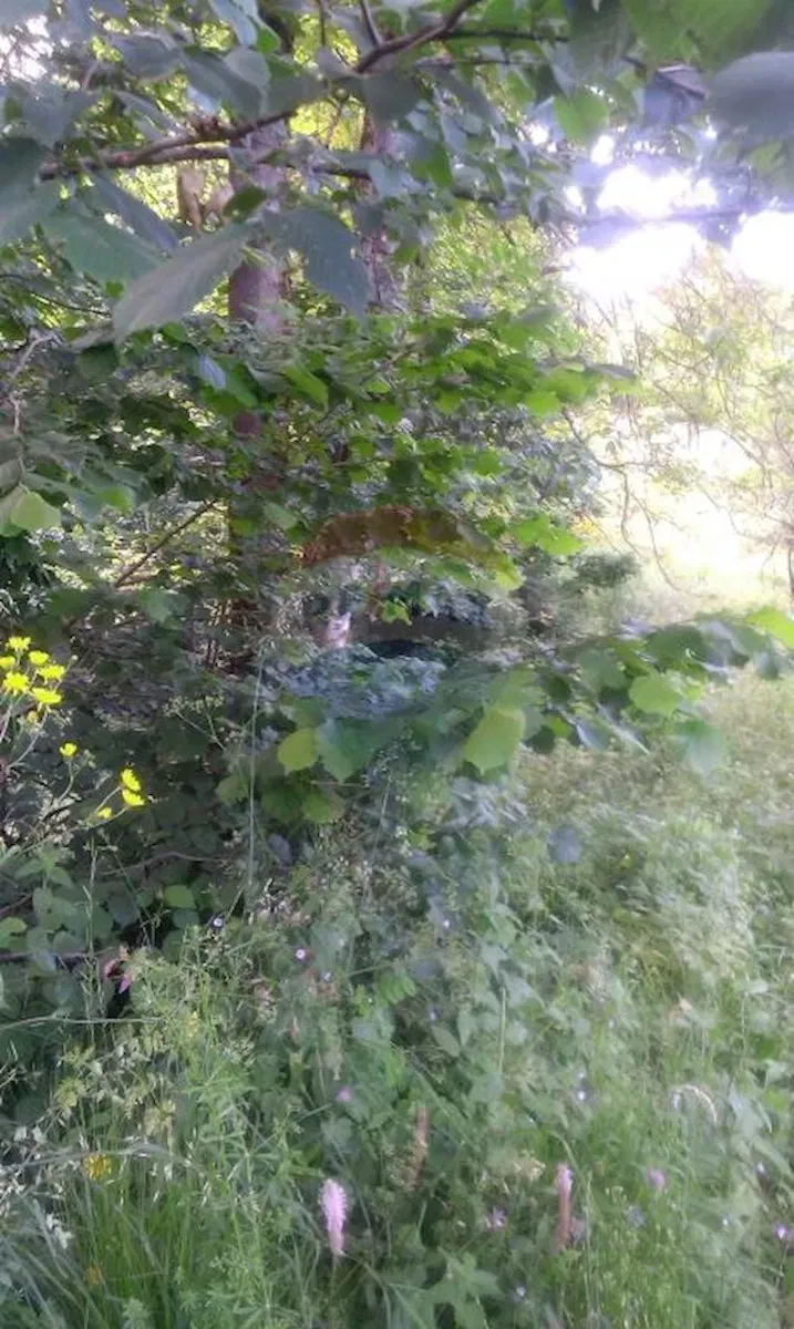 Non-structural plot Jablan, Vrbovsko, 9.621m2 – 2