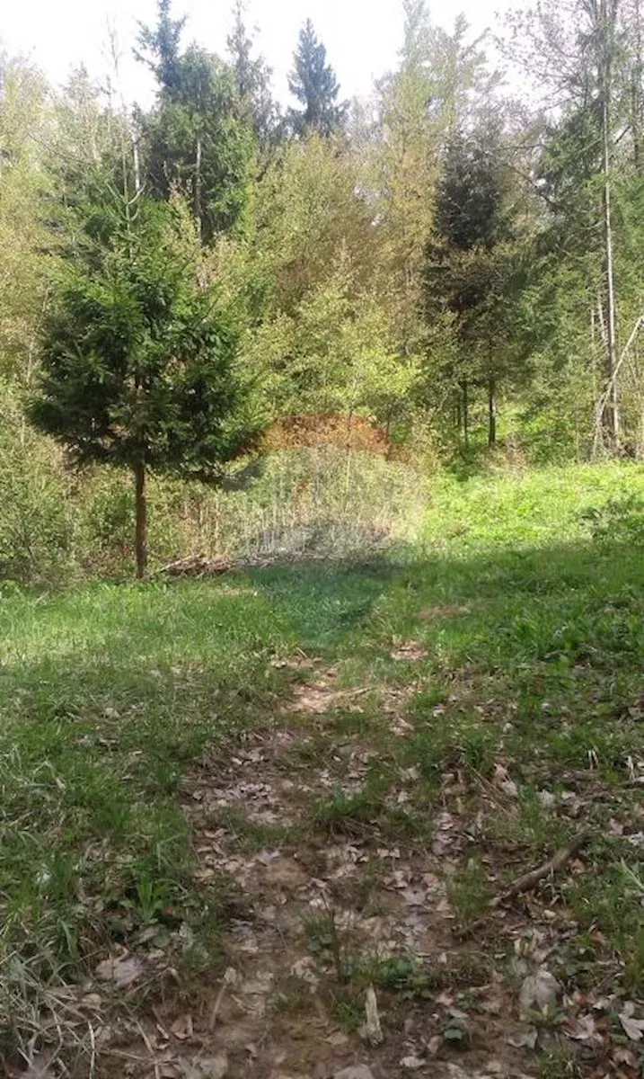 Non-structural plot Delnice, 7.632m2 – 2