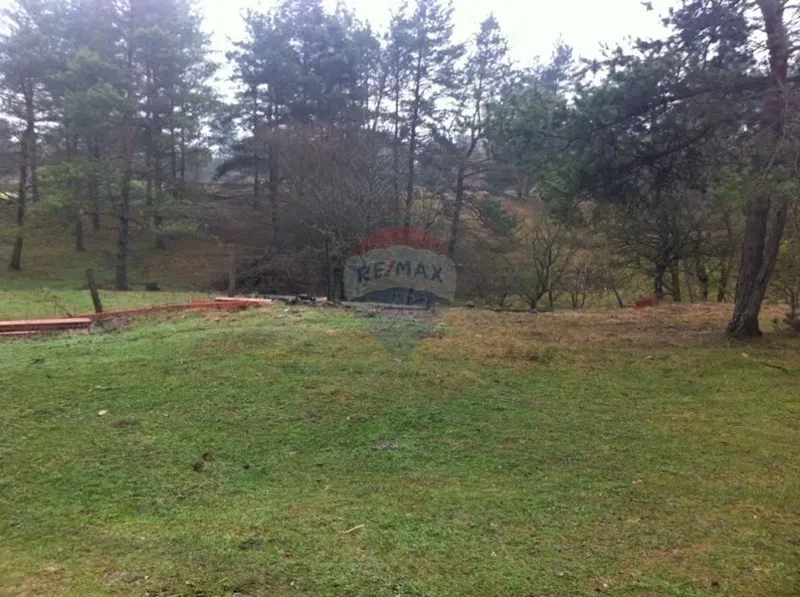 Land Rupa – 2