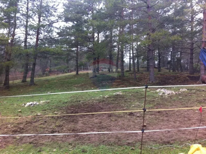 Land Rupa – 3