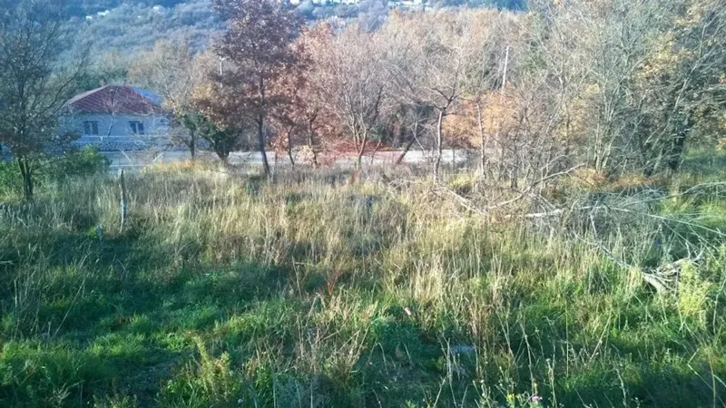 Telek Bribir – 3