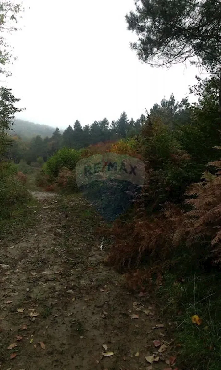 Non-structural plot Blaževci, Vrbovsko, 11.585m2 – 2