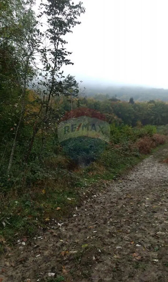 Non-structural plot Blaževci, Vrbovsko, 11.585m2 – 3
