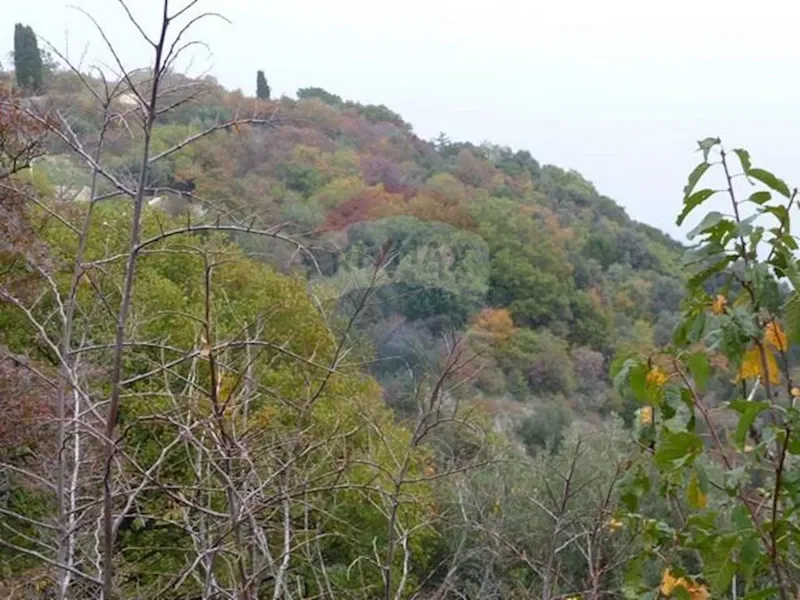 Telek Brseč – 2