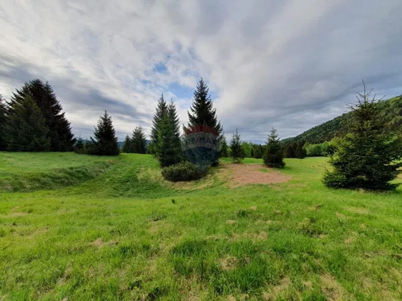 Telek Ravna Gora – 2