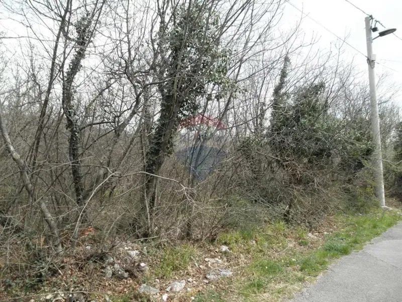 Land Kozala – 3