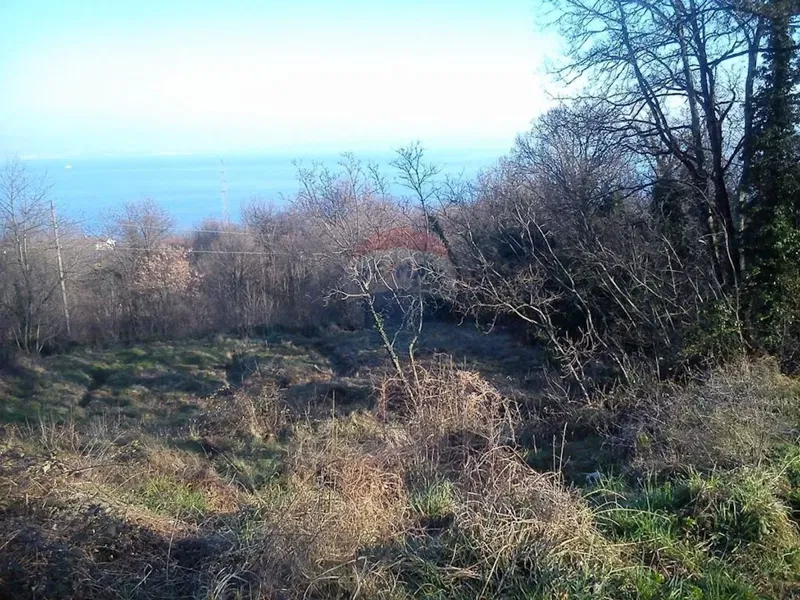 Land Poljane – 2