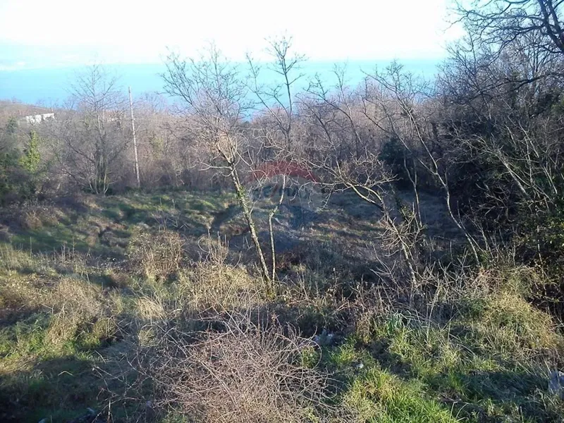 Land Poljane – 3
