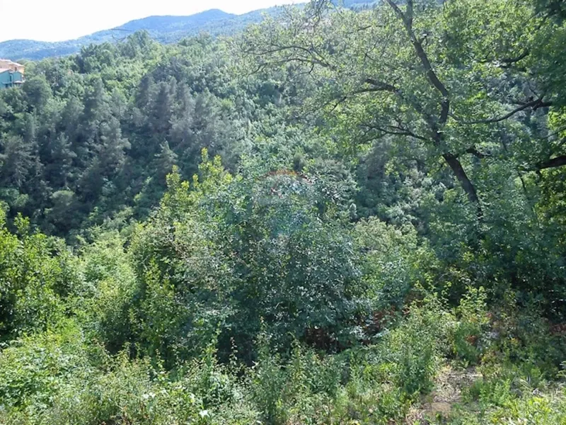 Участок Ičići – 3