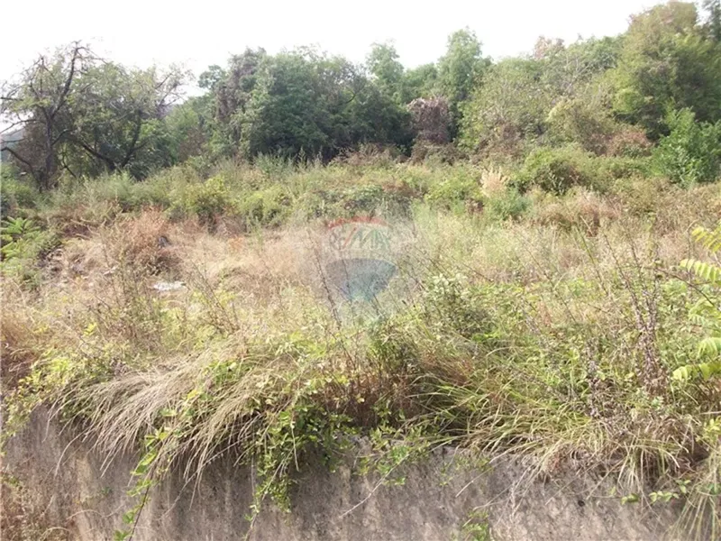 Land Poljane – 2