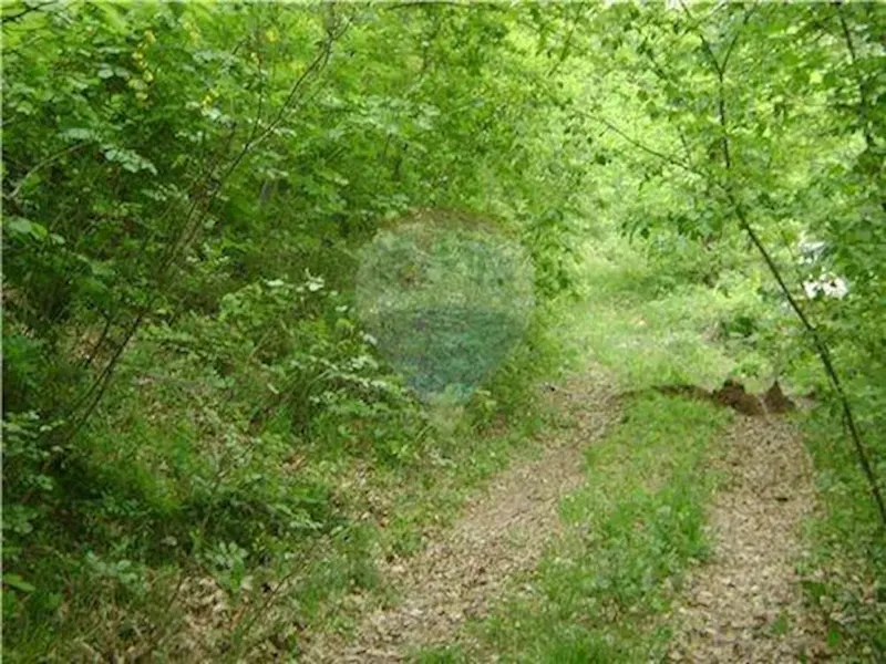 Terreno Veprinac – 3